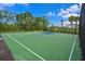 Community basketball court with a green surface, white lines and a new basketball hoop at 15033 Shady Palms Ln, Nokomis, FL 34275