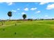 Scenic golf course view with lush green grass and clear blue skies at 1736 Suzi St, Punta Gorda, FL 33950