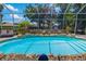 Sparkling pool surrounded by lush landscaping, offering a private oasis at 3988 Berlin Dr, Sarasota, FL 34233