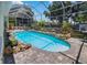 Beautiful pool and lush landscaping in a private screened-in lanai, perfect for relaxation at 3988 Berlin Dr, Sarasota, FL 34233