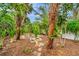 Landscaped backyard featuring mature trees, plants, and natural surroundings at 4322 Concert St, Port Charlotte, FL 33948
