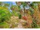 Lush tropical backyard with palm trees and landscaping, partially obscuring the screened-in pool in the background at 4322 Concert St, Port Charlotte, FL 33948