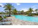 Resort-style pool with lounge chairs, palm trees, and a clear blue pool for relaxing and enjoying the outdoors at 4407 Big Woods Way, Parrish, FL 34219