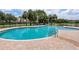 Community pool with lush palm trees and lounge chairs at 4615 73Rd E St, Bradenton, FL 34203