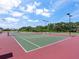 The tennis courts are surrounded by lush greenery, offering a scenic and private playing experience at 4615 73Rd E St, Bradenton, FL 34203