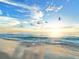 Scenic beach view at sunset with golden sunlight reflecting on the water and seagulls flying overhead at 572 Commonwealth Ln, Sarasota, FL 34242