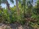 Lush tropical landscaping with diverse trees, shrubs, and plants creates a private backyard at 730 Spanish S Dr # 99, Longboat Key, FL 34228