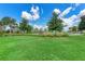 Community playground area with lush green grass, mature trees, and clear blue skies with fluffy clouds at 8940 Royal River Cir, Parrish, FL 34219