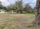 Expansive backyard with a large tree providing shade, adjacent to the detached house at 104 22Nd Street E Ct, Bradenton, FL 34208