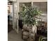 A cluttered room features a decorative plant, chair, and various household items at 104 22Nd Street E Ct, Bradenton, FL 34208