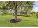 This lush backyard showcases mature trees, a manicured lawn, and a glimpse of the screened-in lanai at 12908 Crystal Clear Pl, Bradenton, FL 34211