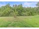 Secluded backyard with mature trees, lush lawn, and a peaceful, natural setting at 5618 Sheer Bliss Loop, Land O Lakes, FL 34639