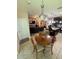 Open concept floor plan features living, dining, and kitchen areas, creating a cohesive and welcoming home environment at 6121 35Th E Ct, Bradenton, FL 34203