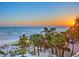 Sunset view of a beach with tall palm trees and a beautiful beach at 6512 Midnight Pass Rd # 301, Sarasota, FL 34242