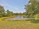 Scenic pond with mature trees surrounding the water, adding natural beauty and tranquility to the landscape at 11714 Forest Park Cir, Bradenton, FL 34211