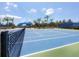 Well-maintained community tennis court, ready for friendly matches and recreational play on a beautiful day at 11714 Forest Park Cir, Bradenton, FL 34211