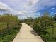 Scenic community walking path lined with lush landscaping, perfect for a leisurely stroll or brisk walk at 11714 Forest Park Cir, Bradenton, FL 34211