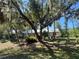 Home with a metal roof, surrounded by palm trees, other foliage, and spanish moss at 12127 Hunter Ave, Port Charlotte, FL 33953