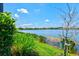 Scenic backyard view of a tranquil lake with lush green vegetation along the shoreline at 13849 Old Creek Ct, Parrish, FL 34219