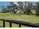 This serene backyard view showcases green grass and tall trees, creating a peaceful and private outdoor space at 14787 Gallop Run Dr, Lithia, FL 33547