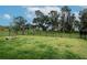 Spacious, fenced backyard features a lush lawn, offering ample room for outdoor activities and relaxation at 14787 Gallop Run Dr, Lithia, FL 33547