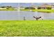 Picturesque view of a pond with a fountain and geese at 2410 Mizner Bay Ave, Bradenton, FL 34208