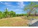 View of an expansive backyard with healthy grass, a large tree, and perimeter vegetation at 2420 16Th W St, Palmetto, FL 34221