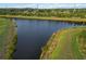 Aerial view of a pond surrounded by green vegetation at 2794 Butterfly Jasmine Trl, Sarasota, FL 34240