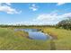 Scenic pond surrounded by verdant landscape, creating a serene outdoor atmosphere at 2794 Butterfly Jasmine Trl, Sarasota, FL 34240