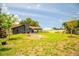 Lush green backyard showcasing a well-kept lawn, a charming home, and a serene outdoor setting at 4612 Masefield Pl, Sarasota, FL 34241