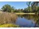 Scenic view of a tranquil pond surrounded by lush greenery and trees and reeds at 4758 Breezy Pines Blvd, Sarasota, FL 34232