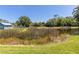 Scenic pond view surrounded by lush greenery and a charming blue house at 4758 Breezy Pines Blvd, Sarasota, FL 34232