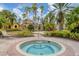 Community hot tub in the center of a paver area surrounded by palm trees at 5552 Bentgrass Dr # 7-301, Sarasota, FL 34235