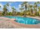 Community swimming pool with palm trees behind, and tanning chairs lining the perimeter at 5552 Bentgrass Dr # 7-301, Sarasota, FL 34235