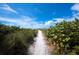 Picturesque sandy path leading to a beautiful beach, surrounded by lush vegetation and clear blue skies at 6110 Country Club Way # 102, Sarasota, FL 34243