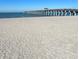 Expansive beachfront view featuring a long pier stretching into the ocean under a clear blue sky at 72 4Th Ave # 72, Venice, FL 34285