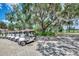 Row of golf carts parked near a lush green area, offering convenient transportation around the community at 8731 52Nd E Dr, Bradenton, FL 34211