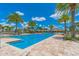 Community lap pool with blue tiling, surrounded by palm trees and lounge chairs at 11411 Spring Gate Trl, Bradenton, FL 34211