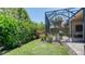 Lush backyard with verdant greenery and partial view of the screened in patio at 11603 Bluebird Pl, Lakewood Ranch, FL 34211