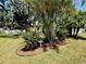 Expansive backyard featuring a beautiful, custom treehouse, lush landscaping, and mature palm trees at 3828 6Th W Ave, Palmetto, FL 34221