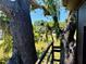 Elevated view from the treehouse showcasing lush landscaping and neighborhood homes at 3828 6Th W Ave, Palmetto, FL 34221