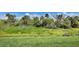 Backyard with lush green grass and tropical vegetation providing a serene natural backdrop at 4739 Reisswood Loop, Palmetto, FL 34221