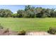 Expansive backyard with lush green lawn and mature trees providing privacy at 7331 Villa D Este Dr, Sarasota, FL 34238