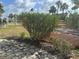 Community area with well-maintained landscaping, kayak racks, and convenient amenities for residents at 754 Spanish S Dr # 754, Longboat Key, FL 34228