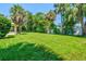 Open green backyard, perfect for entertaining, with mature trees providing shade and privacy at 1324 Augusta S Ln, St Petersburg, FL 33707