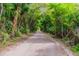 A sandy dirt road leads the way through the lush forest at 16246 26Th E St, Parrish, FL 34219