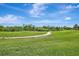 Manicured backyard with lush green grass and a walking path leading to the treeline at 3388 Highlands Bridge Rd, Sarasota, FL 34235