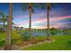 Scenic pond view surrounded by lush landscaping and palm trees, offering a tranquil setting at 4727 Sabal Key Dr # 4727, Bradenton, FL 34203