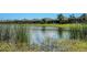 Tranquil pond reflects the surrounding homes, with reeds and vegetation in the foreground at 4809 Benito Ct, Bradenton, FL 34211