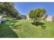 Spacious backyard with a beautiful flowering tree on a manicured lawn at 9016 30Th E St, Parrish, FL 34219